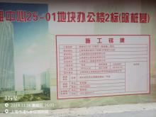 上海市浦东新区前滩中心25-1南区商业发展建设现场图片