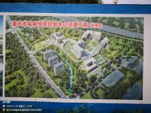 重庆市疾病预防控制中心迁建项目（重庆市北碚区）现场图片