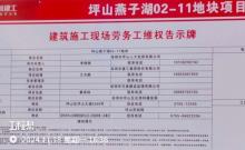 广东深圳市坪山燕子湖02-11地块项目现场图片