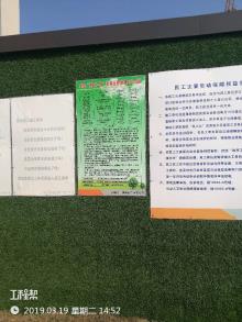 南京生物医药谷建设发展有限公司商务中心项目（江苏南京市）现场图片