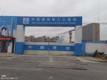 上海君实生物医药科技股份有限公司总部及研发基地项目（上海市浦东新区）现场图片