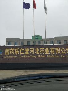 国药乐仁堂河北药业有限公司扩建项目（河北安国市）现场图片