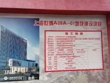 上海市浦东新区世博A09A-01地块办公发展项目现场图片