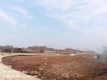 仁寿县妇幼保健院和仁寿县妇女儿童医院整体迁建项目（四川眉山市）现场图片