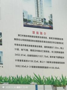 湖北武汉市滠口村集体用地建设租赁住房项目现场图片