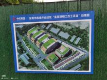 广东东莞市东城牛山社区皇宫照明工改工项目现场图片