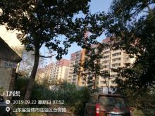 山东淄博市临淄区辛店街道安乐店新村二期建设工程现场图片