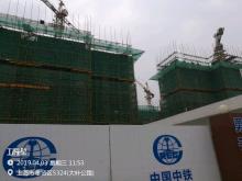 上海市奉贤区南桥新城18单元02-10地块（肖塘新苑三期）住宅项目(配套商品房)现场图片