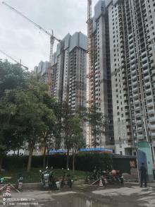 广州丰州置业有限公司丰树广州增城住宅项目现场图片