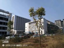 仁寿县妇幼保健院和仁寿县妇女儿童医院整体迁建项目（四川眉山市）现场图片