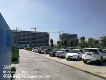 淄博市中心医院西院区项目（山东淄博市）现场图片