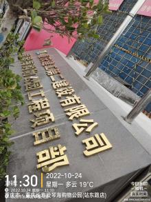 重庆市长寿区爱琴海购物公园项目现场图片