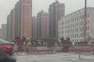上海市青浦区徐泾北（华新拓展）大型居住社区体育中心工程现场图片