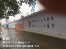 武汉大学人民医院洪山院区建设项目（湖北武汉市）现场图片