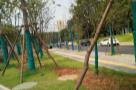 湖南常德市三闾公园、市民文体广场及配套工程现场图片