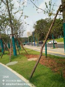 湖南常德市三闾公园、市民文体广场及配套工程现场图片
