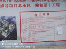 上海市闵行区七宝商务区19-02地块（19A-01A东地块）七宝传媒谷项目现场图片