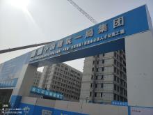 北京市大兴区西红门镇集体经营性建设用地2号地D地块（中节能·北京首座）项目现场图片
