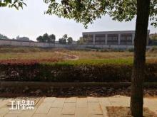 湖南省荣军医院荣誉军人综合楼建设项目（湖南长沙市）现场图片
