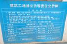 武汉融景臻远房地产开发有限公司居住工程（A,B地块）（一期）（湖北武汉市）现场图片