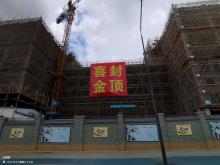昭衍（广州）新药研究中心有限公司建设项目（广东广州市）现场图片