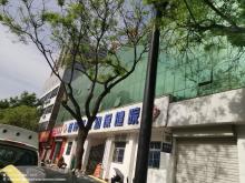 河南洛阳市宜阳县妇幼保健院整体搬迁建设项目现场图片