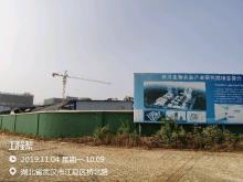 武汉生物农业与健康安全研究院有限公司生物农业产业基地项目（湖北武汉市）现场图片