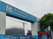 重庆烟叶复烤有限公司“十二五”易地技术改造项目（重庆市巴南区）现场图片