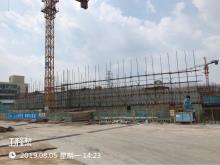 广州市中医医院新址项目（广东广州市）现场图片