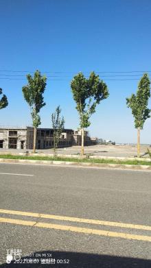 新疆阿图什市乡村综合民生项目-新城街道昆援社区办公阵地建设项目现场图片