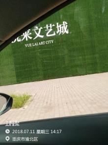 重庆市渝北区悦来会展总部基地建设项目(含英迪格酒店、雅辰悦居酒店)现场图片