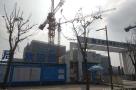 广东广州市知识城产业聚集服务中心（ZSCB-A5-1地块项目）（BIM）现场图片