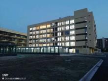 安徽滁州市凤阳县淮滨新区基础设施项目现场图片