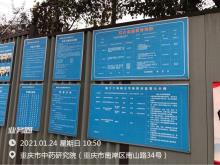 重庆市中药研究院国家中医药传承创新工程（重庆市南岸区）现场图片