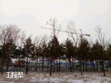 黑龙江哈尔滨市里普利吉尼斯乐园项目（含酒店）现场图片