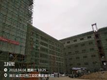 武汉佳成生物制品有限公司生物工业园建设项目（湖北武汉市）现场图片