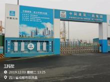 四川成都市天府生物产业孵化园二期工程现场图片