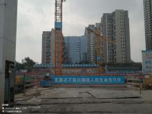 广东深圳市福田区群众文化中心建设项目现场图片