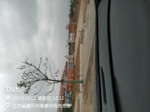 江西赣州市经济技术开发区江奥科技园工程现场图片