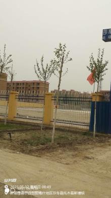 新疆喀什地区莎车县托木吾斯塘镇智慧小学建设项目（运动场）现场图片