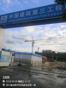 四川成都市国家新药安全性评价中心产业化示范基地一期项目现场图片