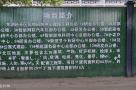 安徽芜湖市经开区凤鸣研创中心建设工程现场图片