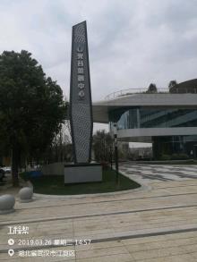 湖北武汉市光谷金融中心建设项目--五星级现场图片