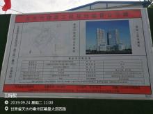 甘肃天水市七里墩综合开发项目二期工程（羲元·水岸天街）现场图片