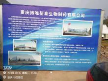 上海博唯生物科技有限公司新型预防性重组蛋白疫苗产业化项目（重庆市巴南区）现场图片