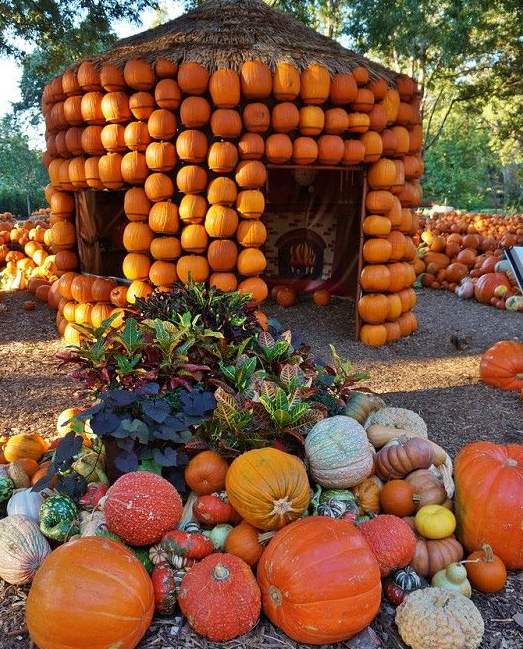 创意十足的林园景观?