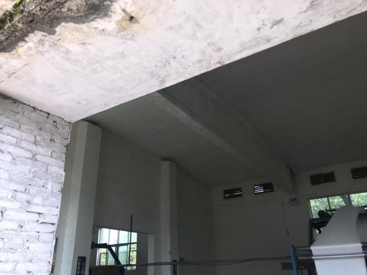        另外这个柱子是扶壁柱吗